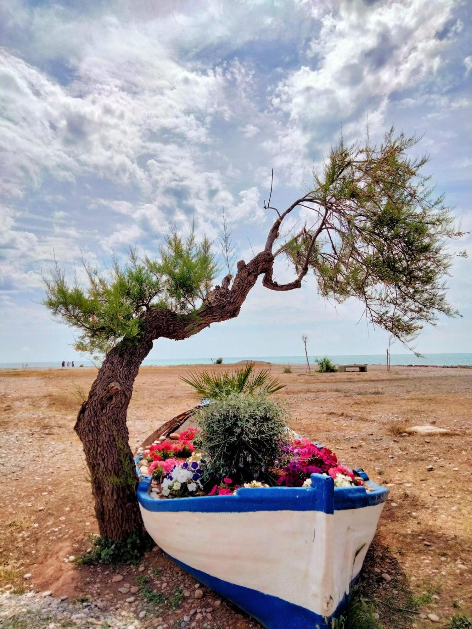 Apartamento Moncofa Moncófar Exteriér fotografie